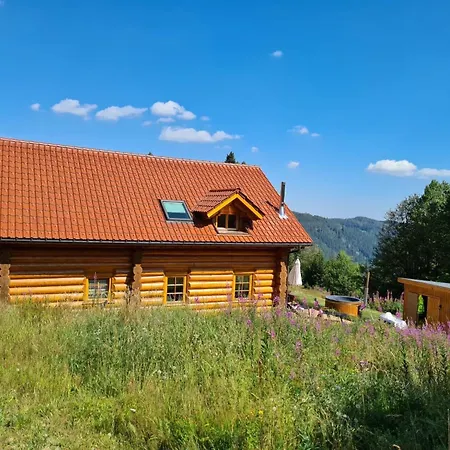 In Feldberg - Schwarzwald Mit Privatem Pool By Interhome *
